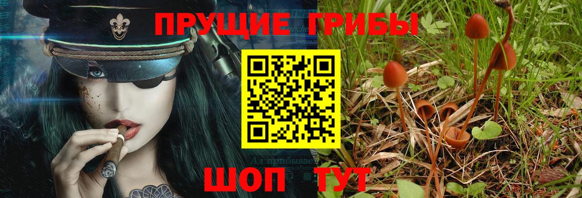 Галлюциногенные грибы Cubensis  Вход с VPN  Брянск 