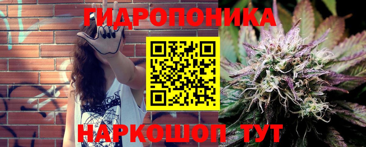 Бошки Шишки план  Вход с VPN  Брянск  Канабис планчик  Каннабис SATIVA & INDICA 